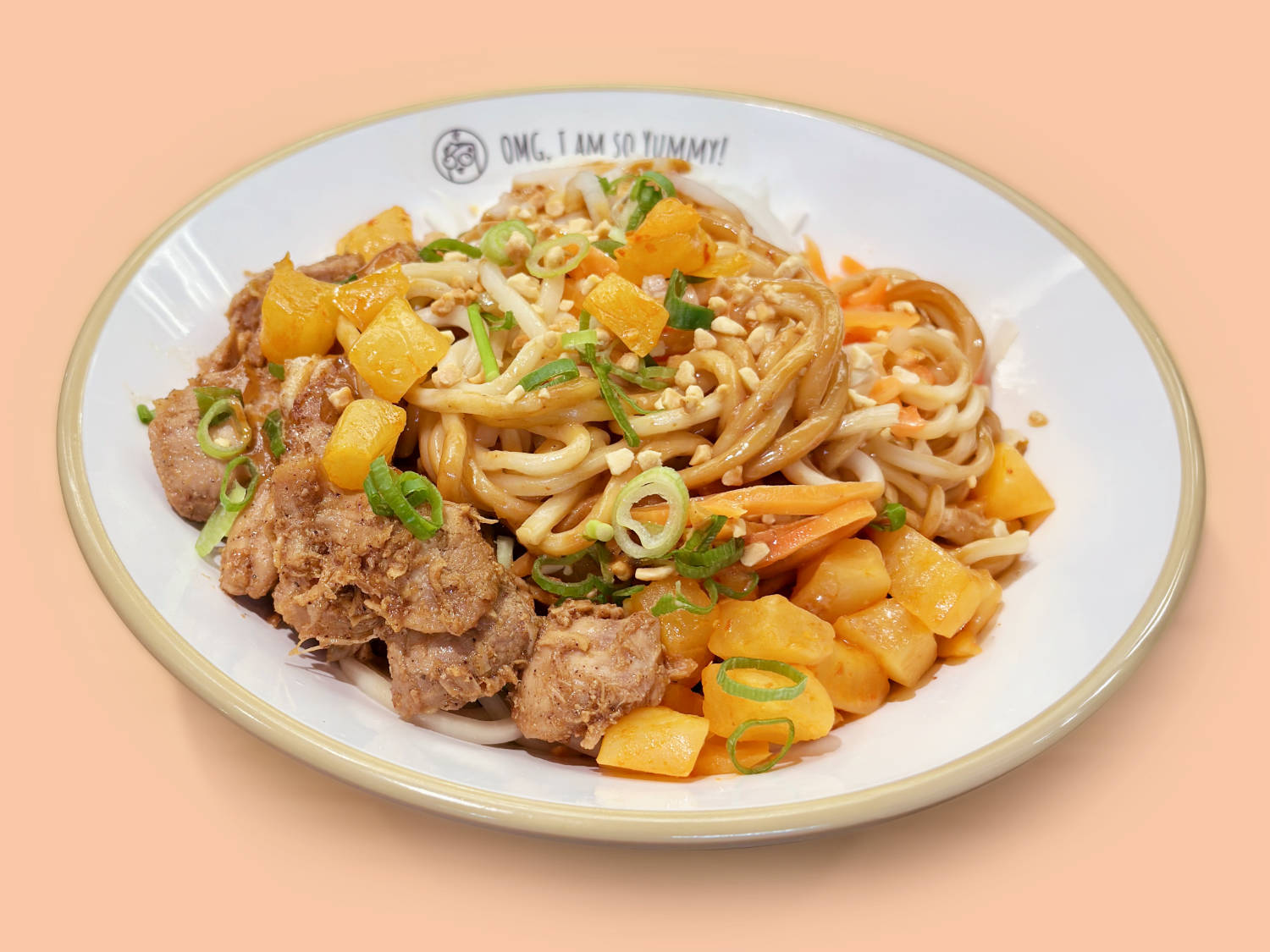 n2 pulled chicken noodles